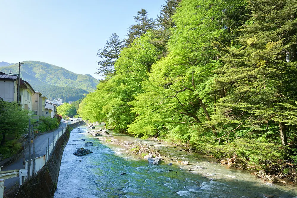 季節の風がそよぐ四万温泉