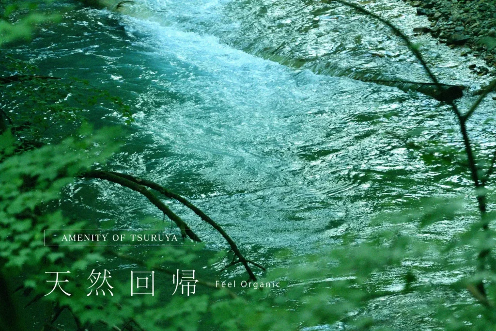 天然回帰 Feel Organic