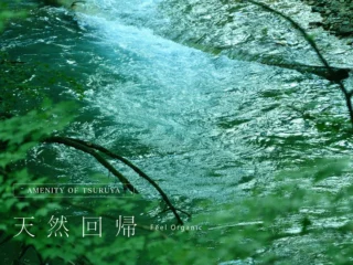 天然回帰