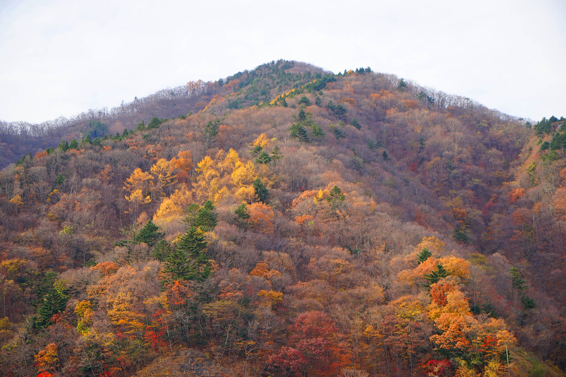 秋-3 紅葉の山
