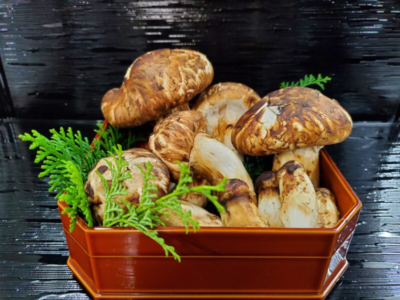 秋の味覚の王様！薫り高き『国産松茸』が入荷いたしました！