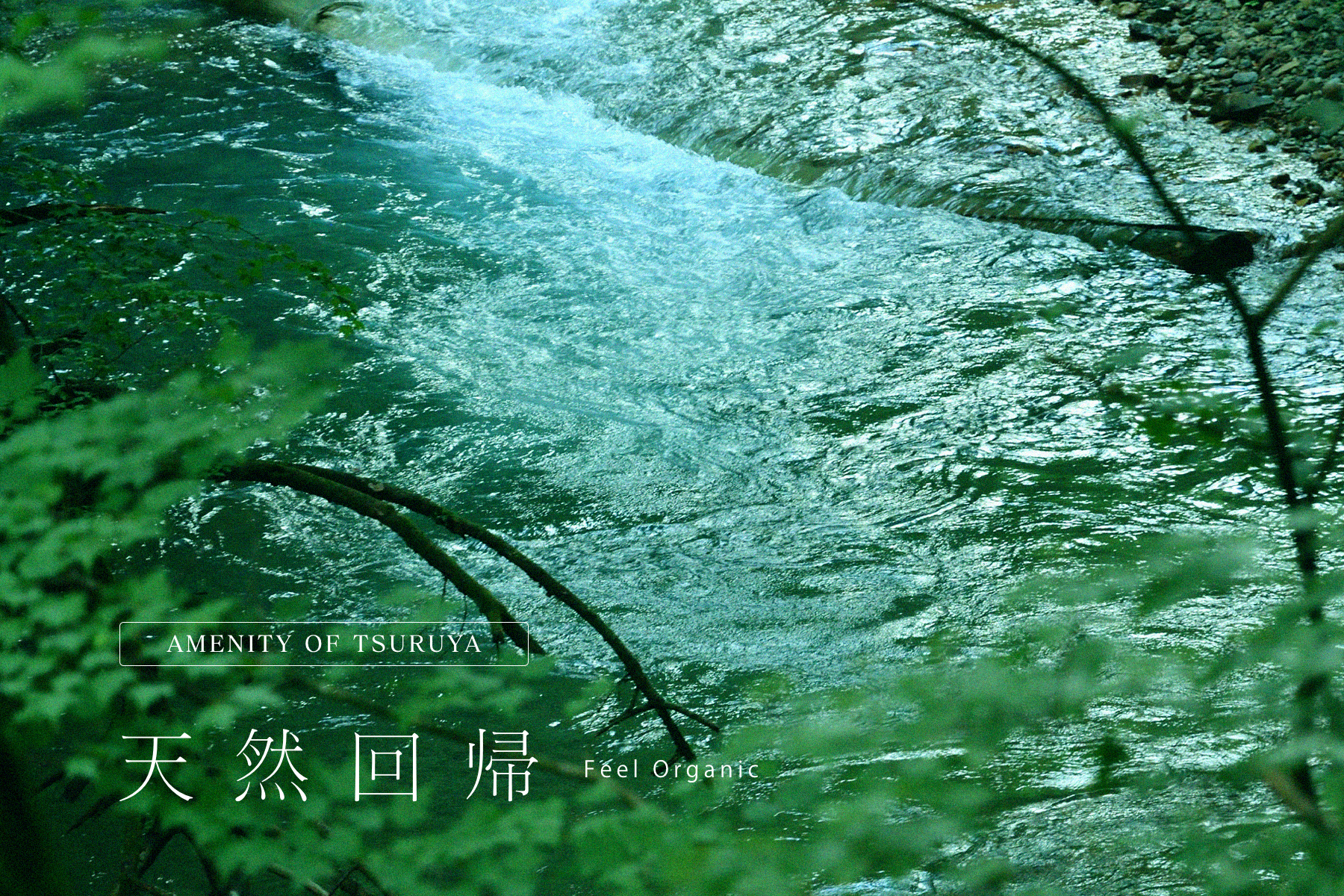 【アメニティのご紹介】天然回帰